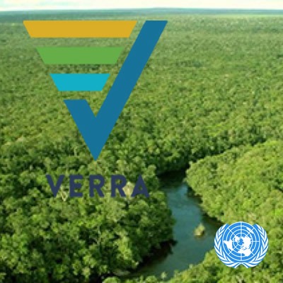 Reforestation Project VERRA Carbon Offset