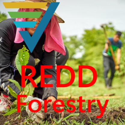 Verra REDD Forestry Project - Price per Tonne US$