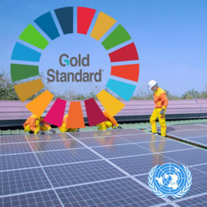 5. Solar Power Gold Standard Energy Project -100xTonnes US$